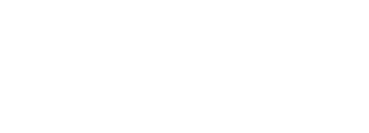 NetGauge Consulting